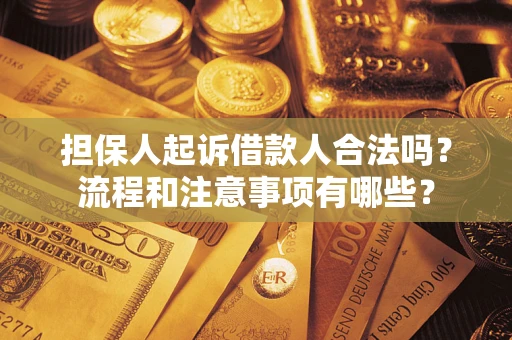 济南担保人起诉借款人合法吗？流程和注意事项有哪些？