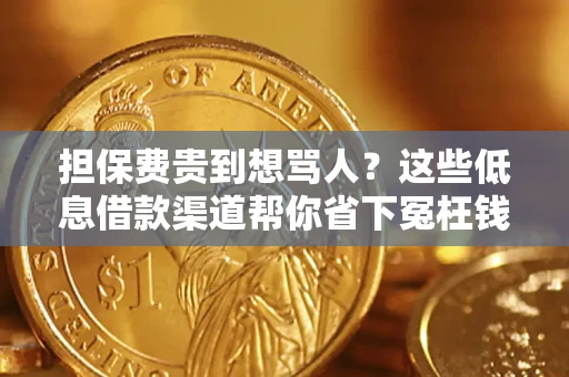济南担保费贵到想骂人？这些低息借款渠道帮你省下冤枉钱