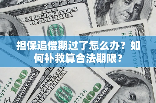 济南担保追偿期过了怎么办？如何补救算合法期限？